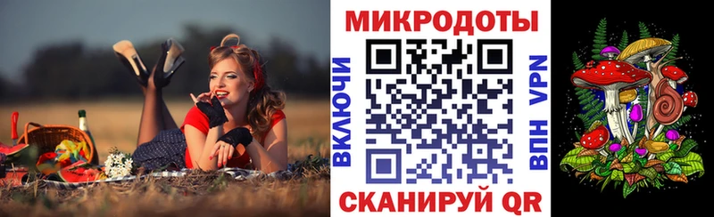 Купить закладки  Долгопрудный  Галлюциногенные грибы MAGIC MUSHROOMS 